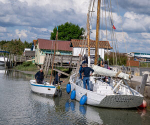 Retour de la Salicorne à Mornac